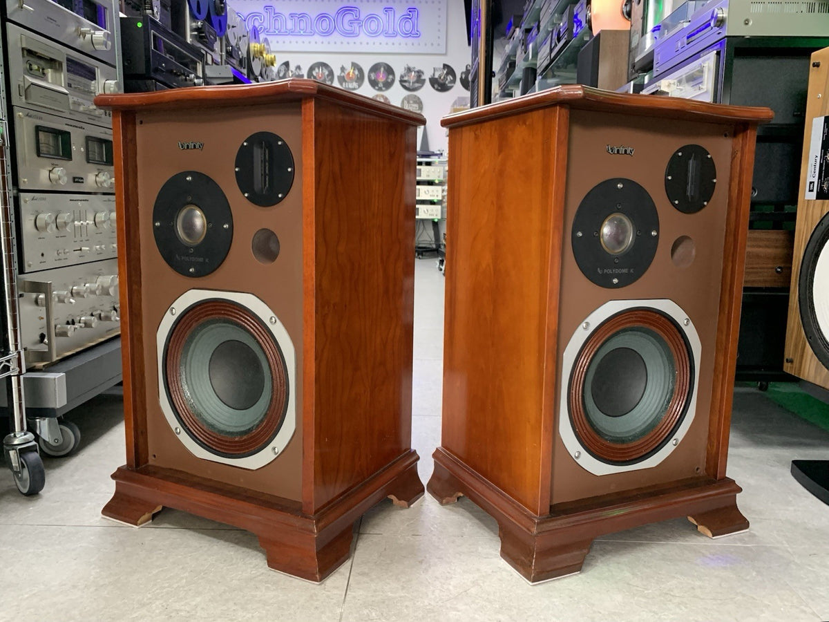 INFINITY RS 6000 EXCLUSIVE CUSTON New Box Speakers 100 Watts RMS WORK Good Look