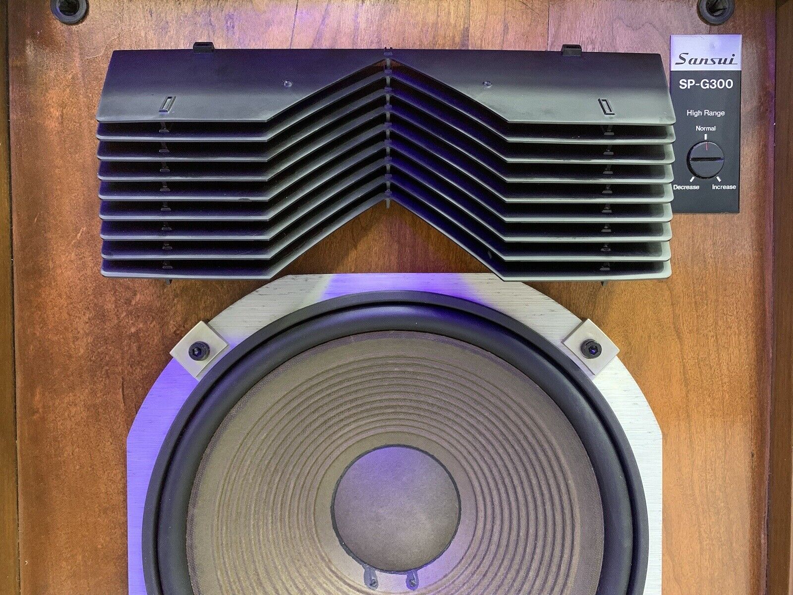 SANSUI SP-G300 Vintage 1977 Hi End 2 Way 3 Speakers RARE 300W RMS WORK Good Look