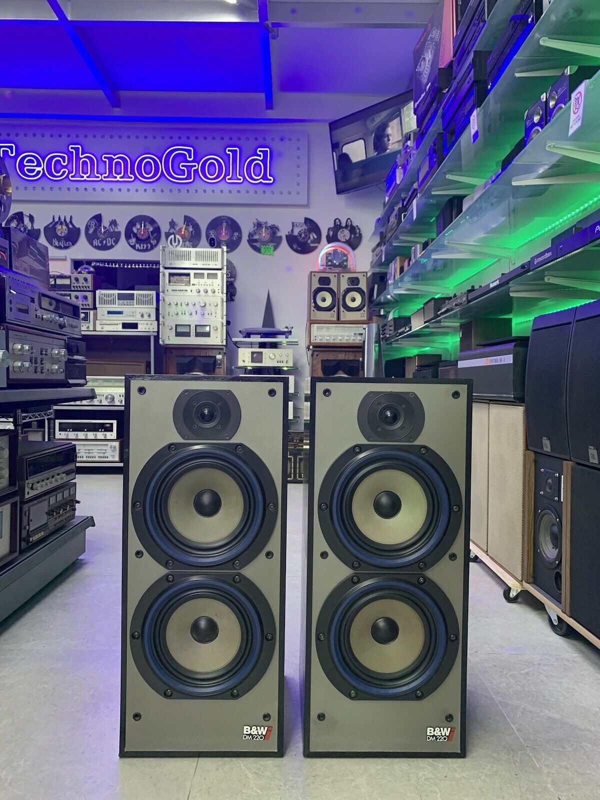 BOWERS & WILKINS B&W DM-220 Speaker 3 Way 100 Watts RMS High End WORK Good Look