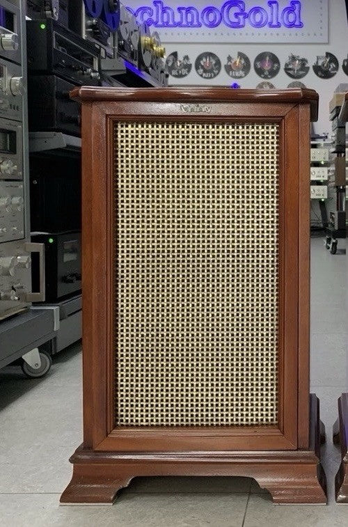 INFINITY RS 6000 EXCLUSIVE CUSTON New Box Speakers 100 Watts RMS WORK Good Look